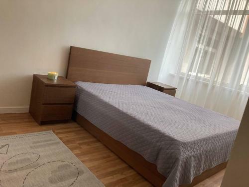 Mi?ko Apartamentai ?alia Miesto Centro