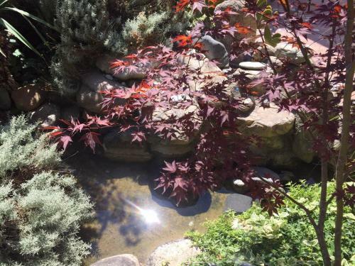 Apartamento Villa Galeria Pestani Ohrid