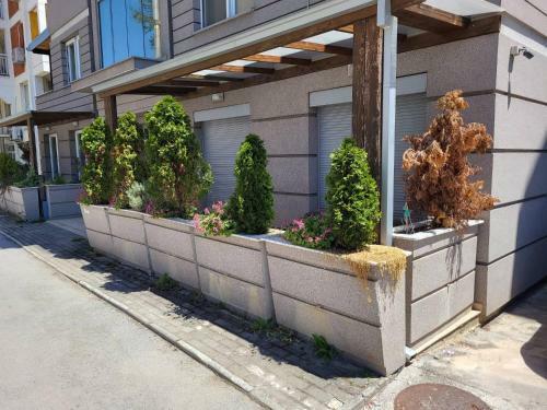 Bro's Apartment