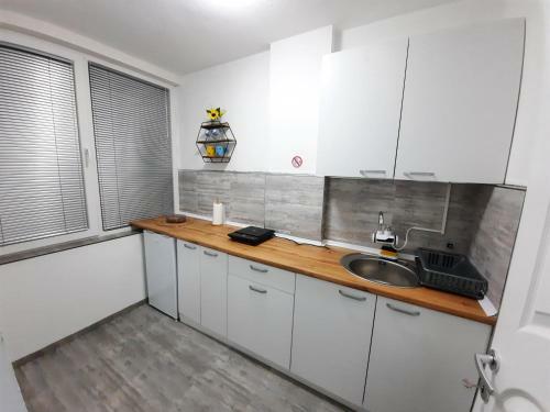 Apartment Apostoloski-ohrid