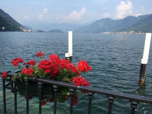 Apartamento UNA Finestra Sul Lago
