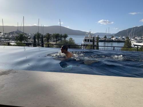 Dark Stallion Apartment In Porto Montenegro