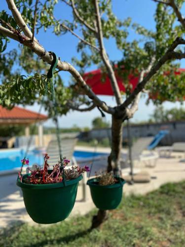Private Villa Mileti?