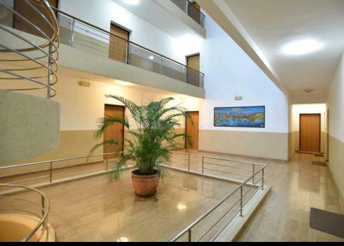 White Bear Apartment