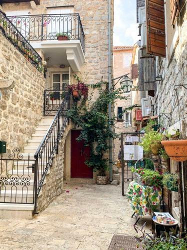 Hostal Vesna Apartments