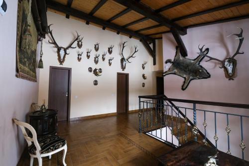 Villa Cabana Racovita