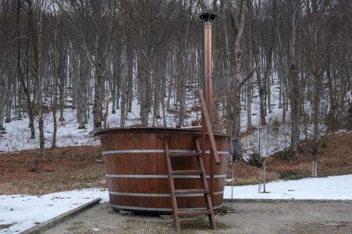 Villa Cabana Racovita