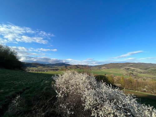 Apartamento Pri Vodarenskom Tajchu