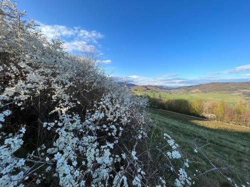 Apartamento Pri Vodarenskom Tajchu