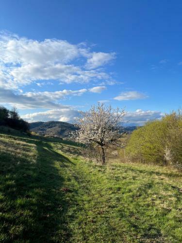 Apartamento Pri Vodarenskom Tajchu