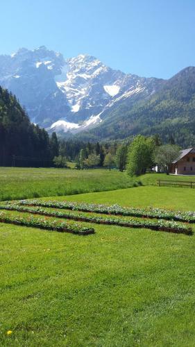 Bed & Breakfast Penzion Valerija