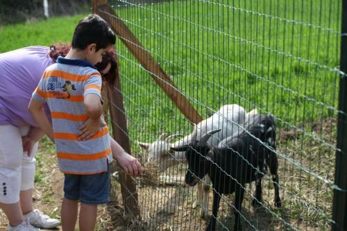 Apartamento Residence La Bellotta