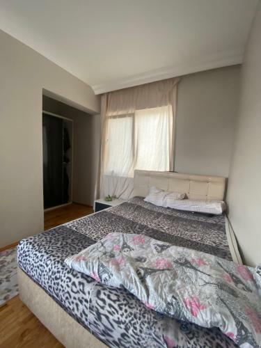 Hostal Eti Sitesinden
