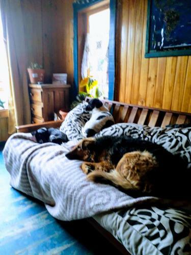 Bed & Breakfast Lo De Susana Home