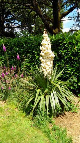 Bed & Breakfast La Cloue