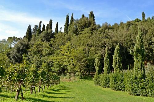 Agroturismo Cevoli Country Resort
