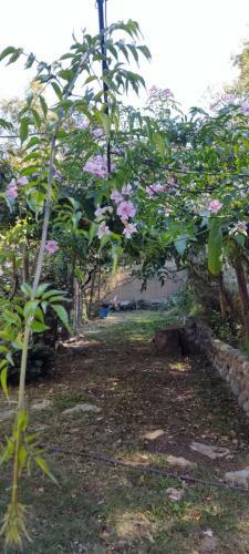 Apartamento El Parralito