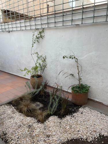 Casa Las Rosas Quinta Secci�n