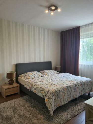 Apartman Valentin