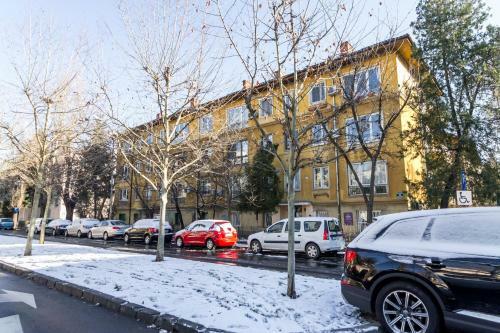 Apartamento Primaverii Studio