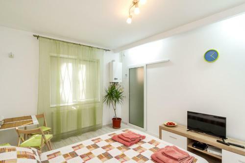 Apartamento Primaverii Studio
