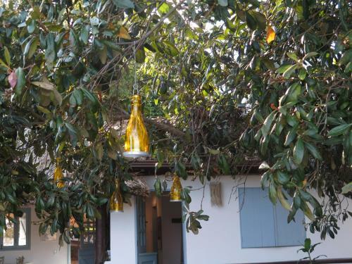 Casa Hotel Para�so