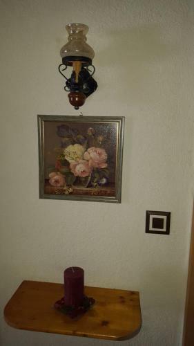 Hostal Casa Ursului