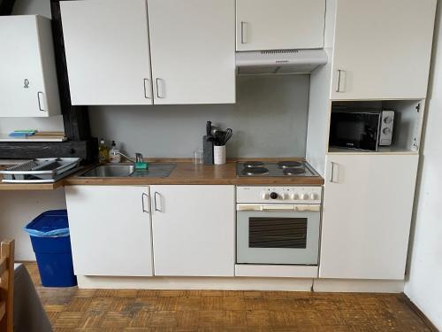 Roseman III - Centraly Located, Old Spacious Apartment