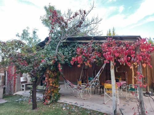 Apartamento El Sue�o Del Nono