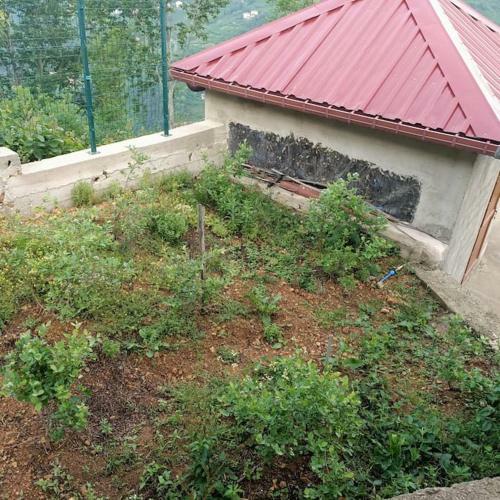 Bed & Breakfast Villa Pamuklu