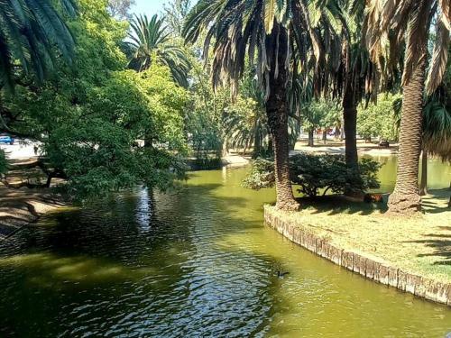 Apartamento Hermoso Monoambiente! Ubicacion Ideal! Precio Unico!