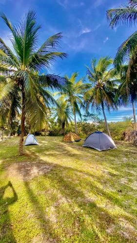 Camping Venturi