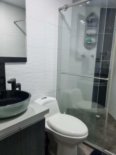 Apartamento Pent House La Castellana