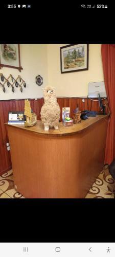 Hostal Las Terrazas Del Turista