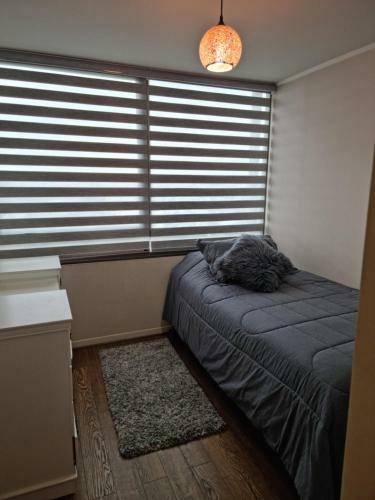 Apartamento Departamento En Concepci�n + Estacionamiento