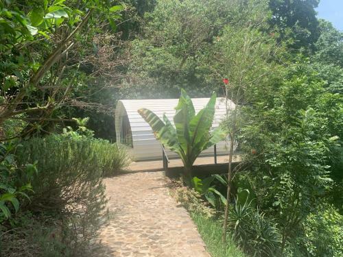 Casa Coi @ Finca El Tambor
