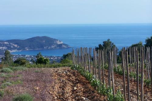 Hotel Le Relais De La Cal�che
