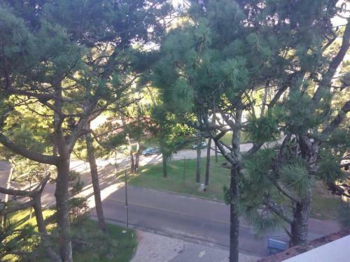 Apartamento Excelente Apto. En Punta Del Este A 3 Del Mar