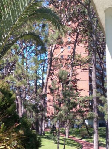 Apartamento Excelente Apto. En Punta Del Este A 3 Del Mar