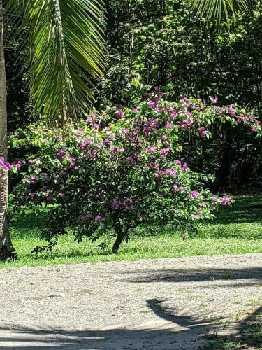 Villa La Escondida De Chame