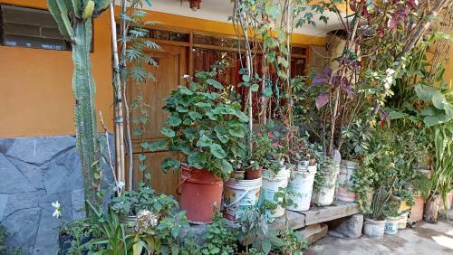 Hostal Kizza Ollantaytambo