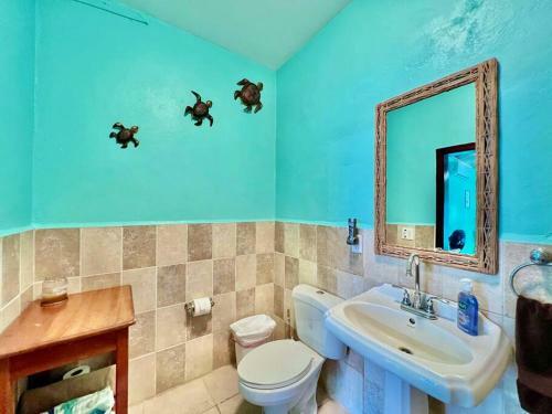 Apartamento Hermit Crab Villa 3b @sunset Villas, West End.