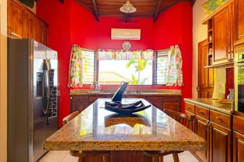 Iguana Apartmentos And Estate