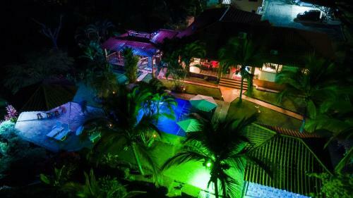 Iguana Apartmentos And Estate