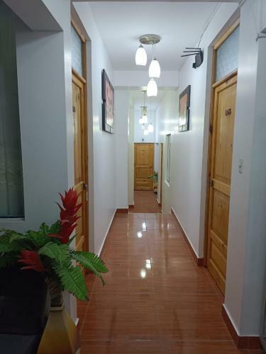 Apartamento Hotel El Delfin Dorado