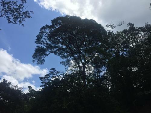 Albergue La Marta Refugio De Vida Silvestre