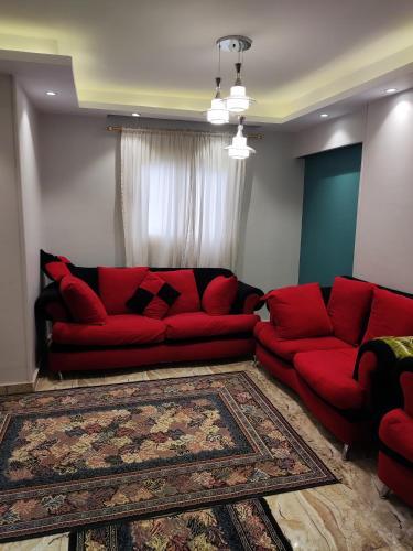 ???? ?? ?????? ????? ??????????khalid Bin Al Waleed Apartments Miami8