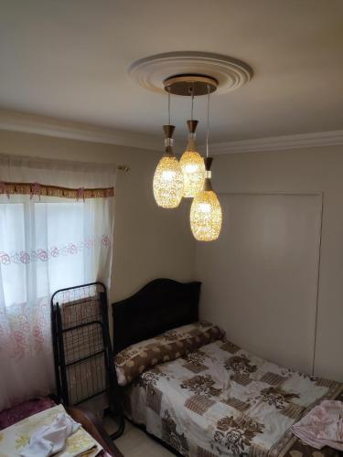 ???? ?? ?????? ????? ??????????khalid Bin Al Waleed Apartments Miami8
