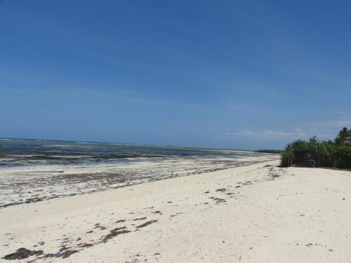 Apartamento Beautiful 2 Bedroom Beach Rental Unit With 3 Pools