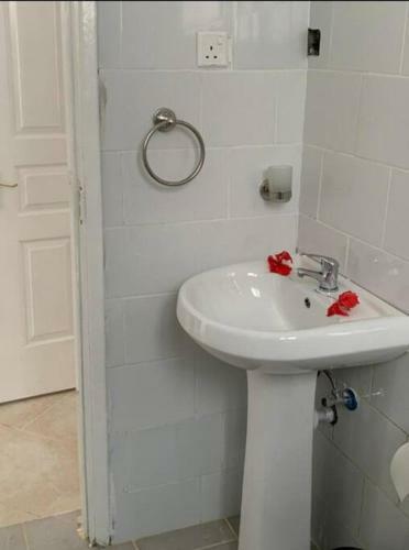 Apartamento Cozy Bed & Breakfast 2 Bdrm Appartment